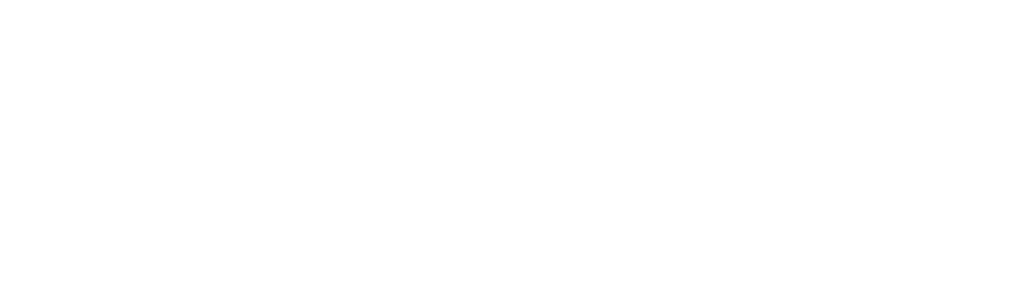 simstints-high-resolution-logo-white-transparent.png